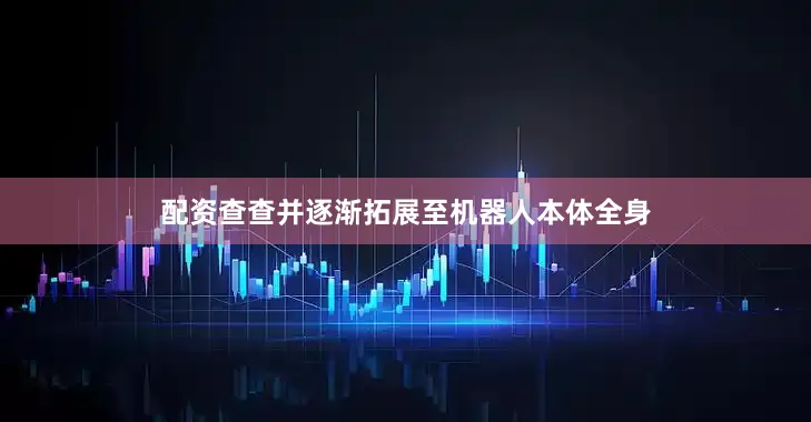 配资查查并逐渐拓展至机器人本体全身