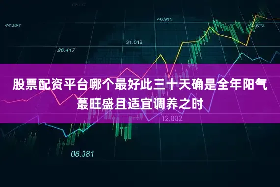股票配资平台哪个最好此三十天确是全年阳气蕞旺盛且适宜调养之时